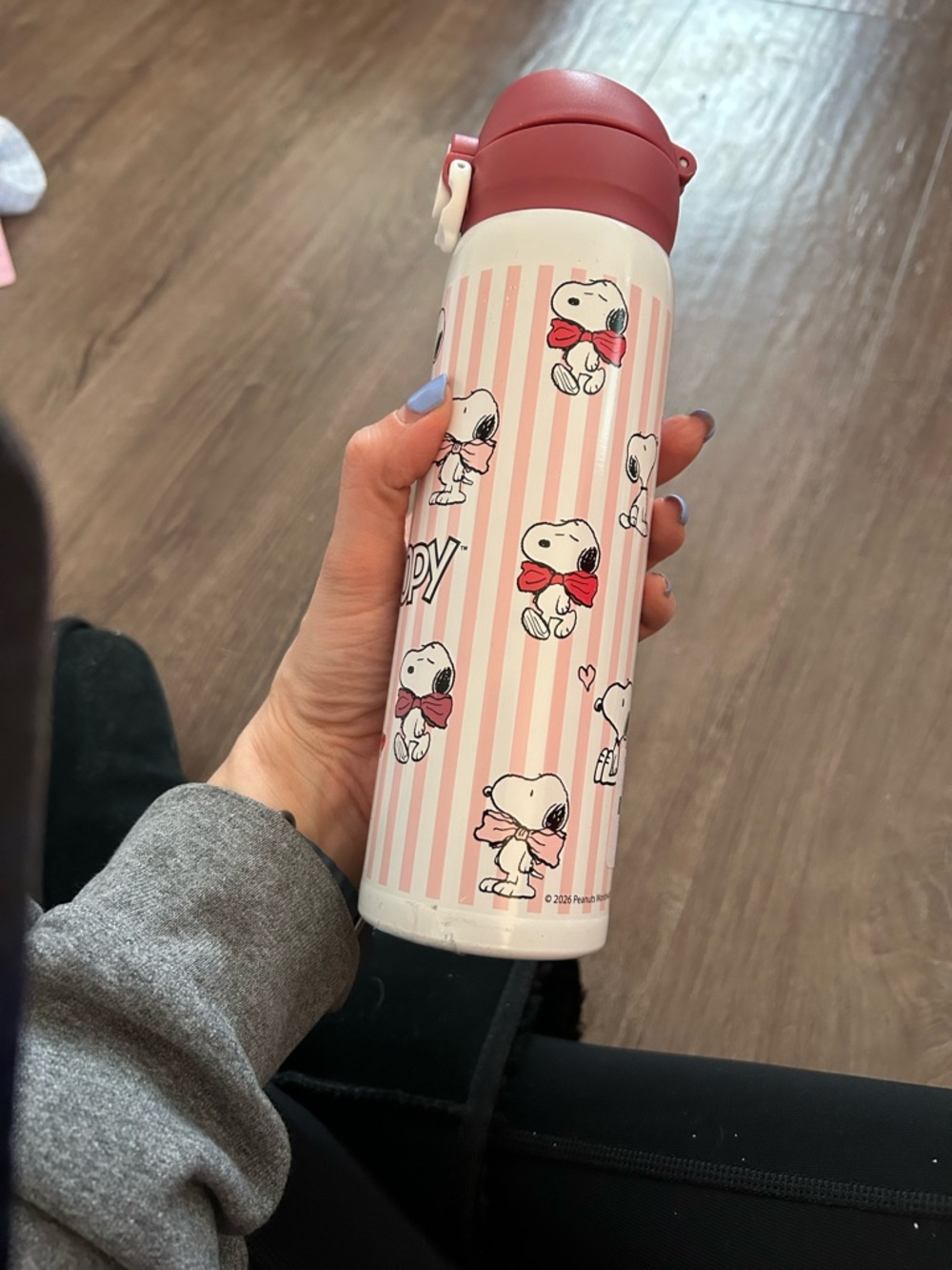 NWT Snoopy Pink Striped Stainless Bottle - Picture 3 of 6